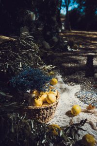 4 décoration cérémonie laïque mariage domaine Valmont (7)